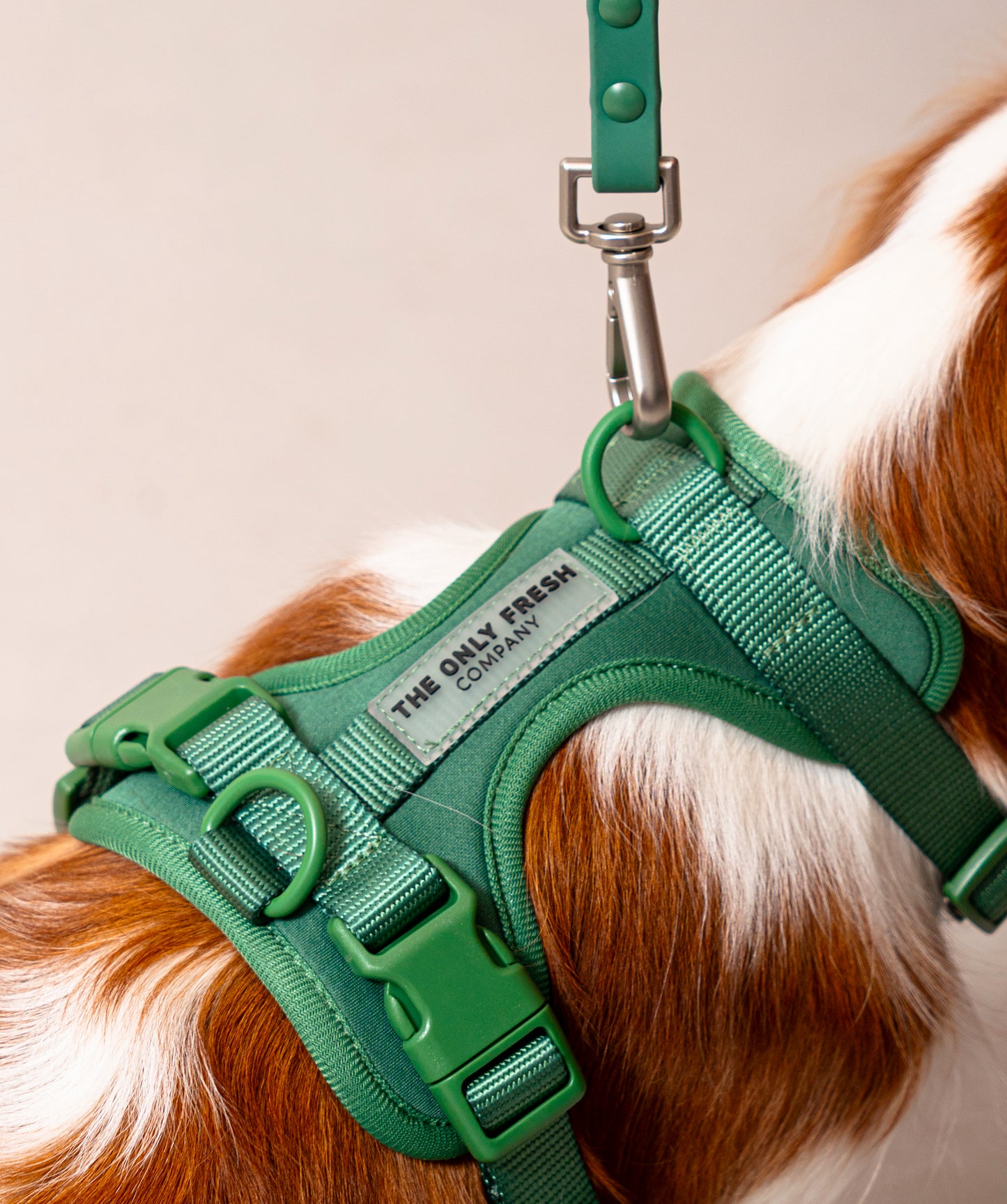 Smart Harness