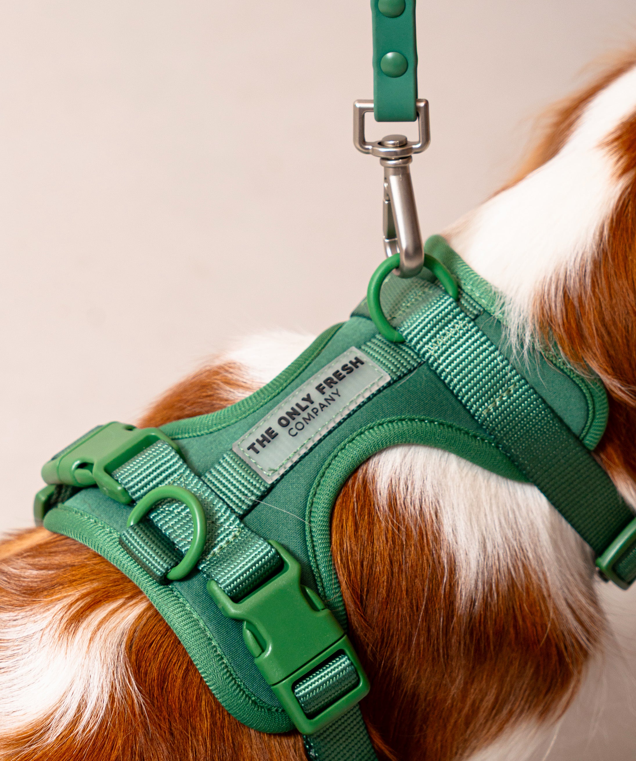 Smart Harness