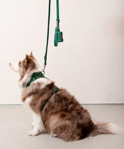 Smart Dog Leash