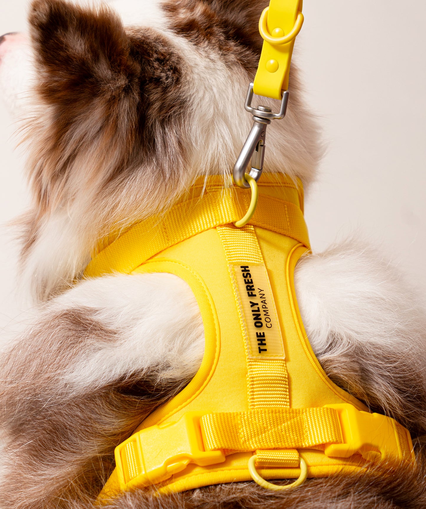 Smart Harness