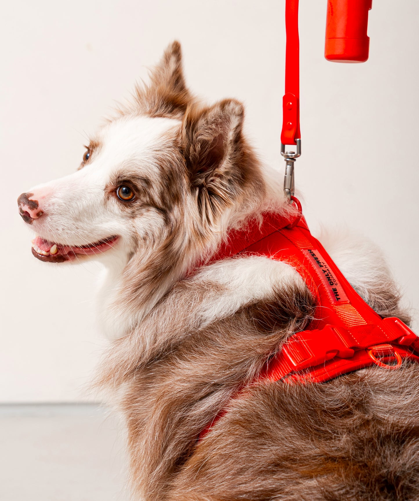 Smart Harness