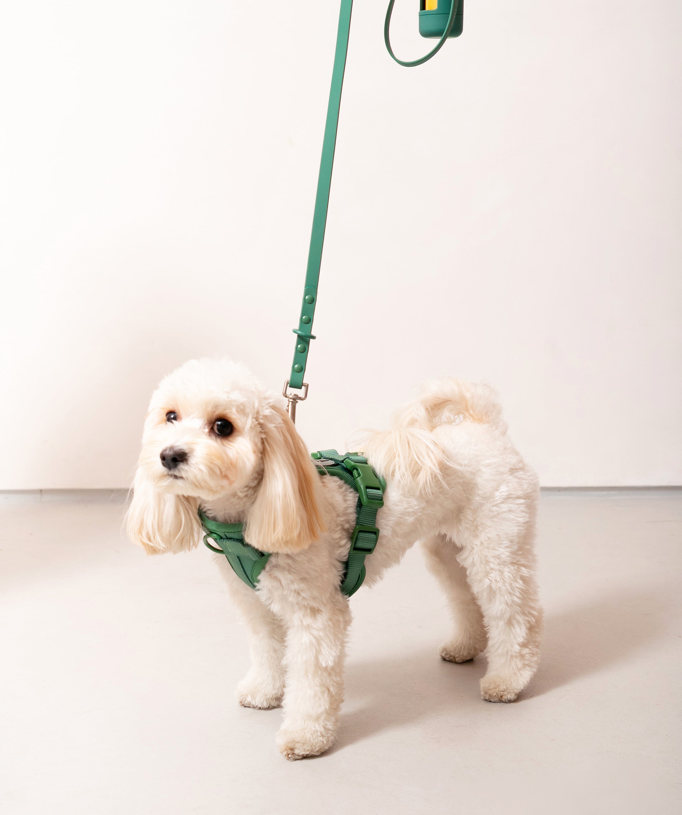 Smart Dog Leash