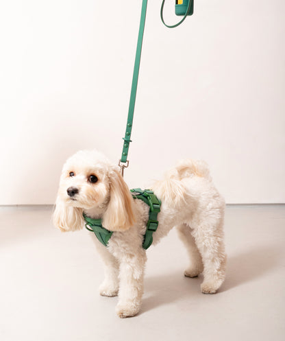 Smart Dog Leash
