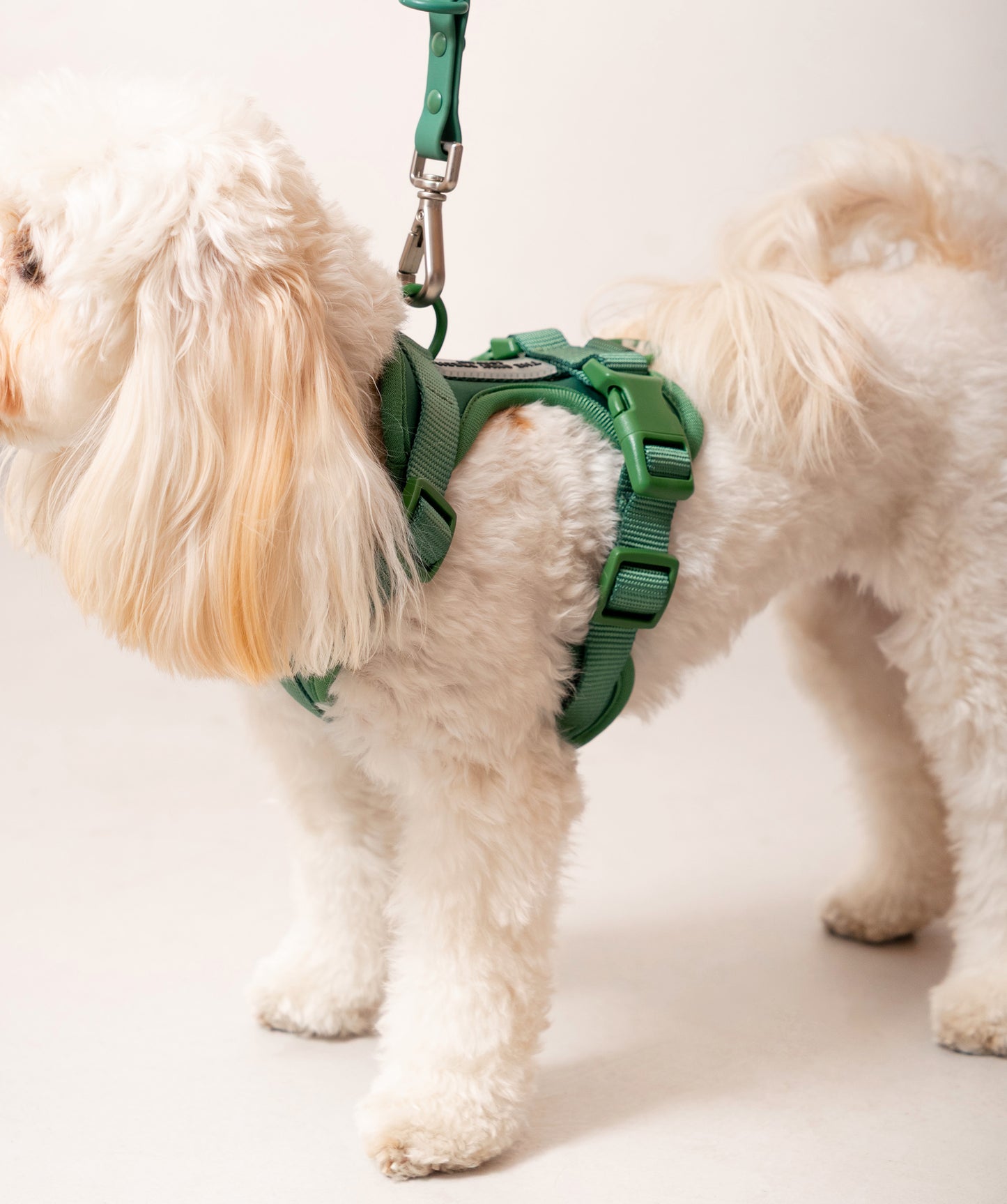Smart Harness