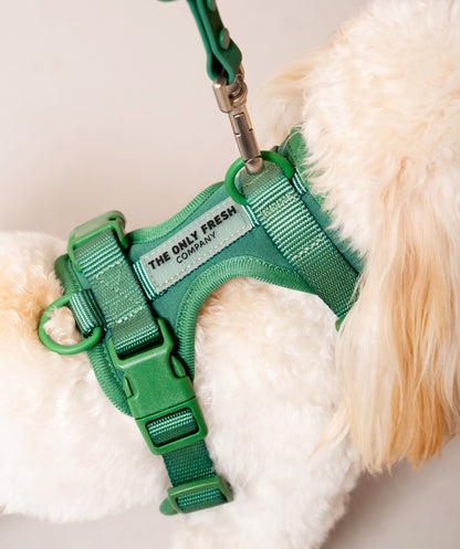 Smart Harness