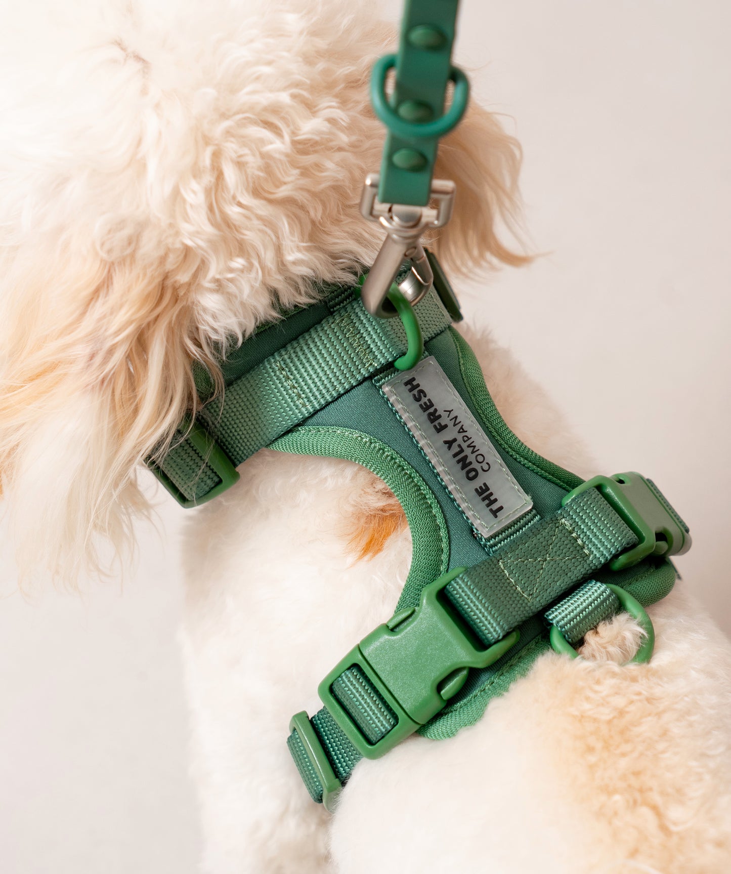 Smart Harness