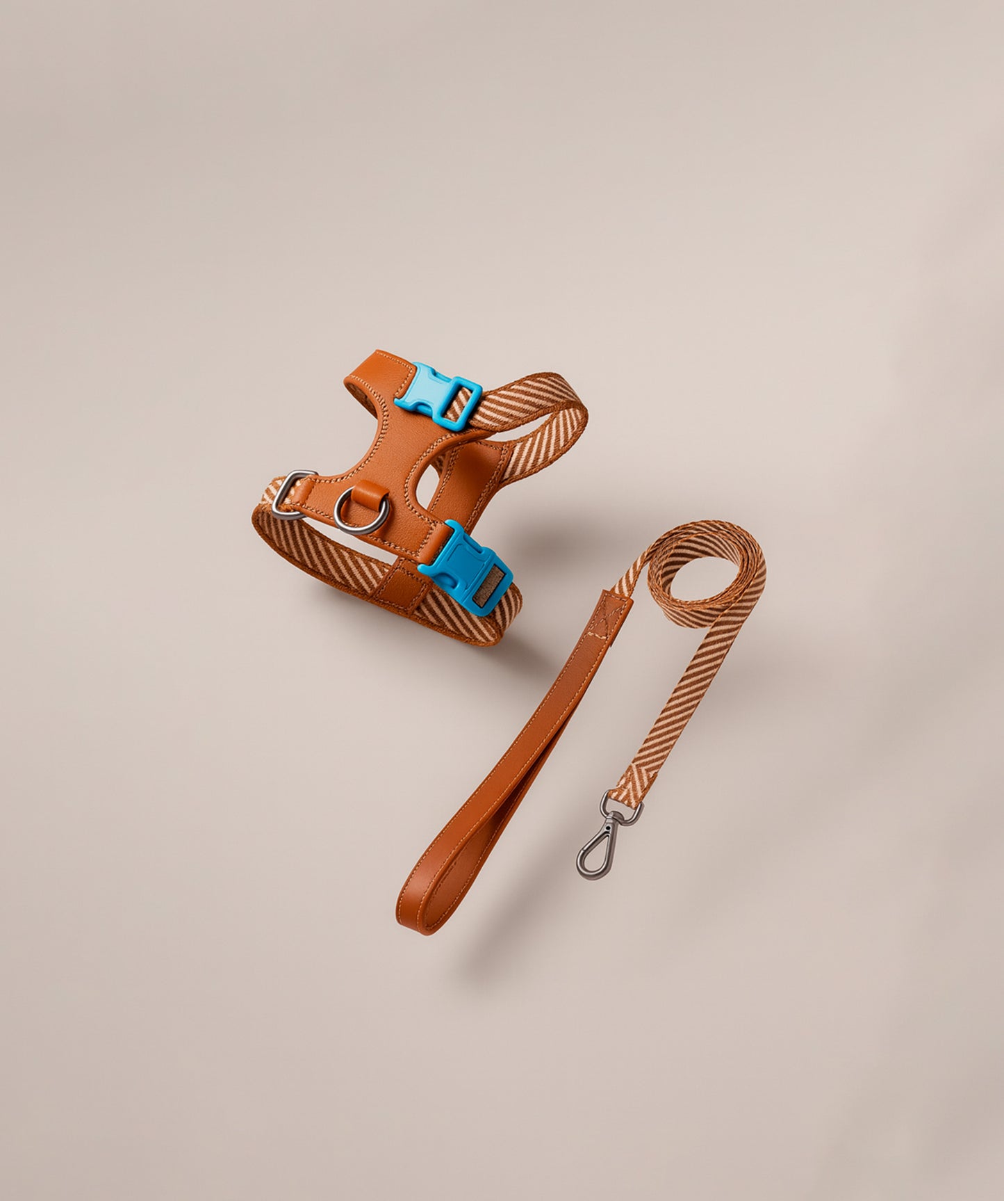 Deluxe Leash & Harness