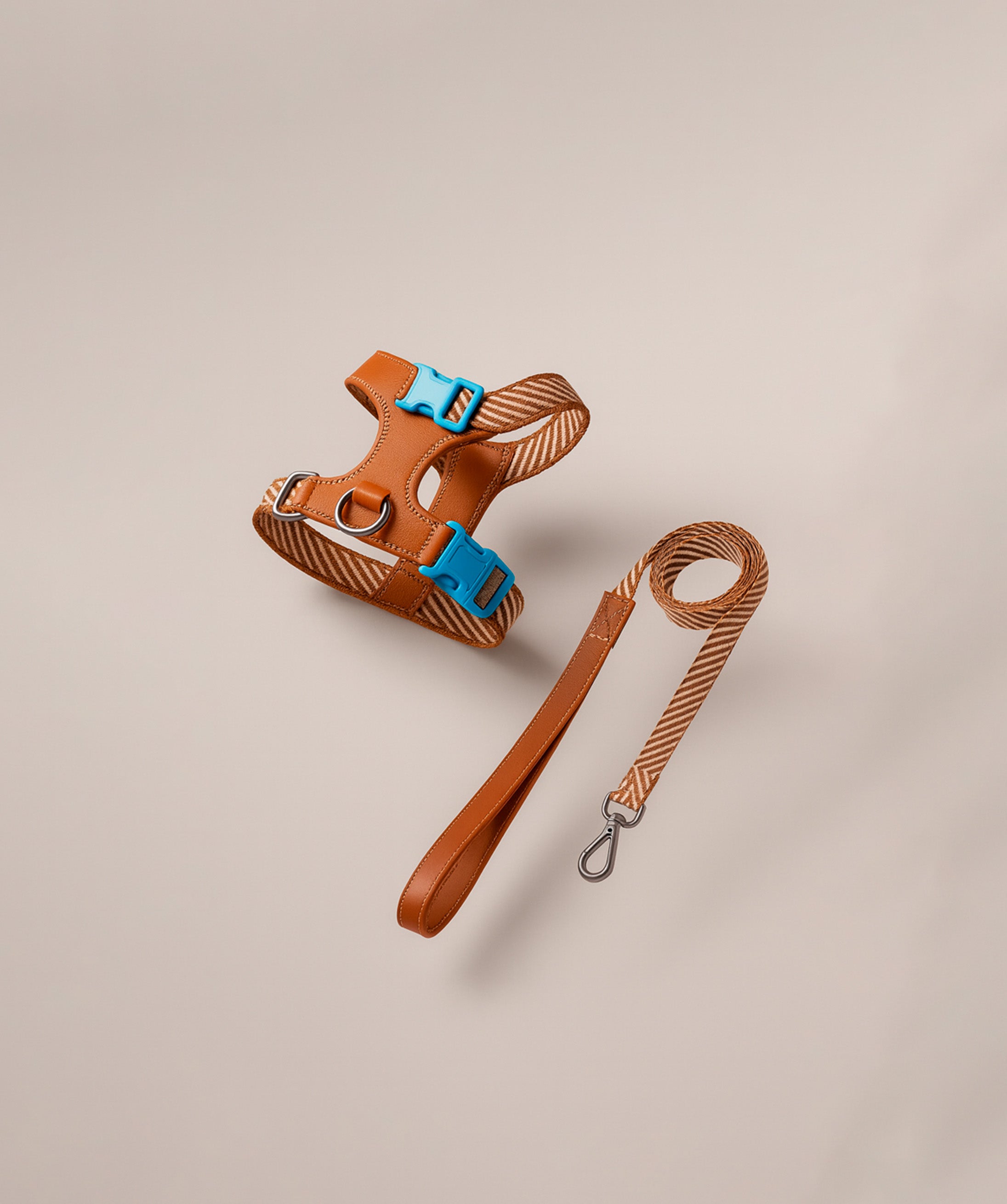 Deluxe Leash & Harness