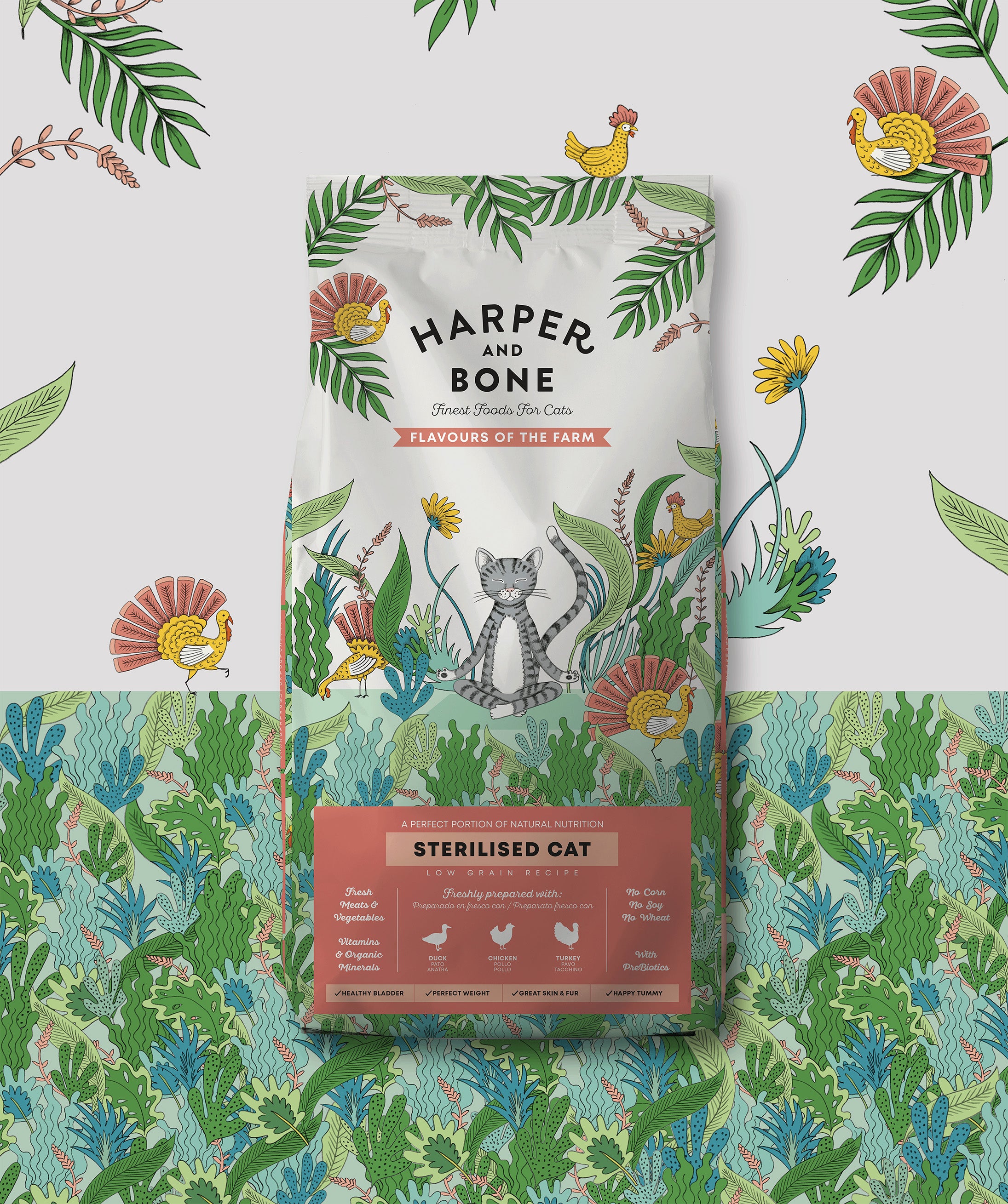 CRAVE Katzenfutter - Getreidefreies, Proteinreiches Nassfutter Pastete