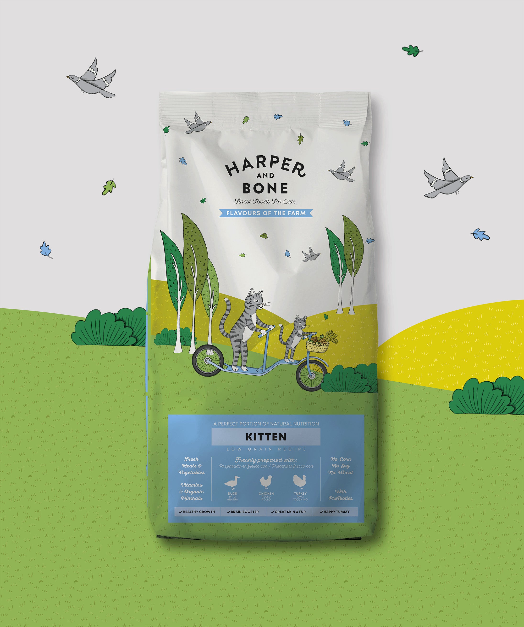 Kitten - Flavours of the farm
