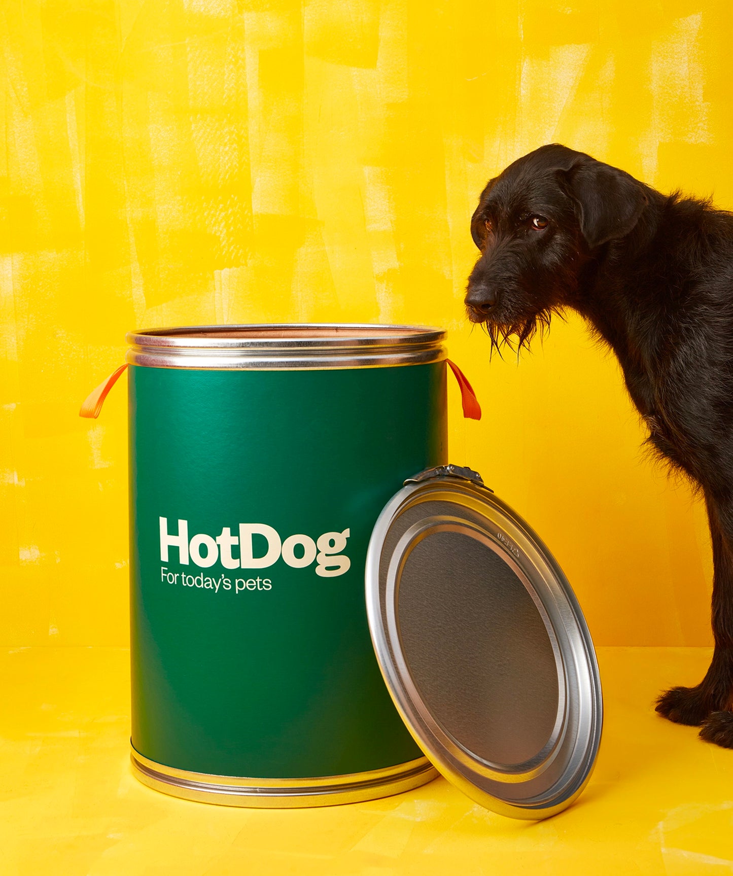 Food canister
