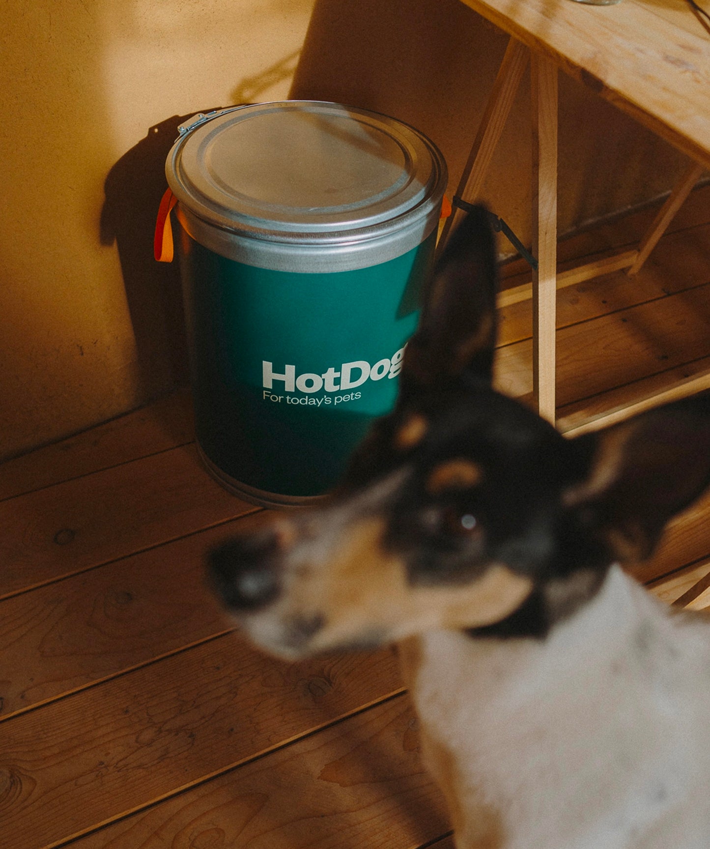 Food canister