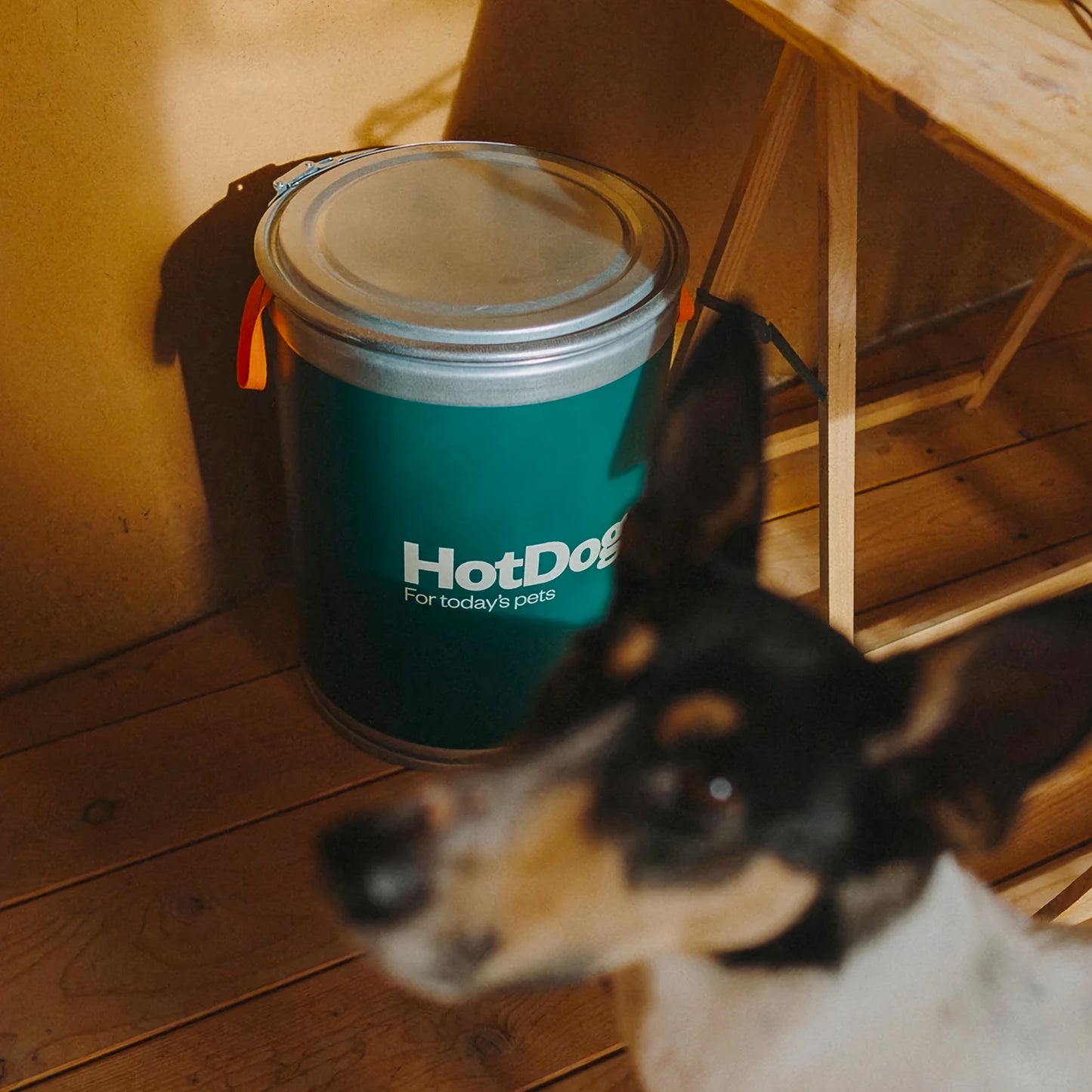 Food canister
