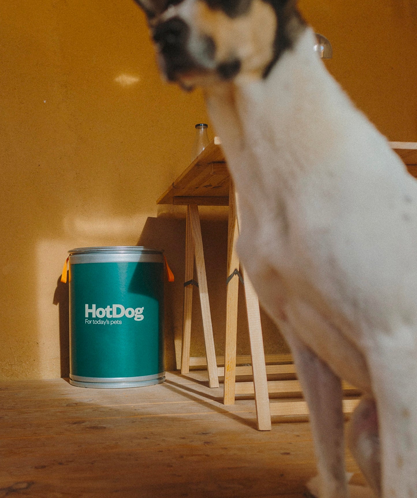Food canister