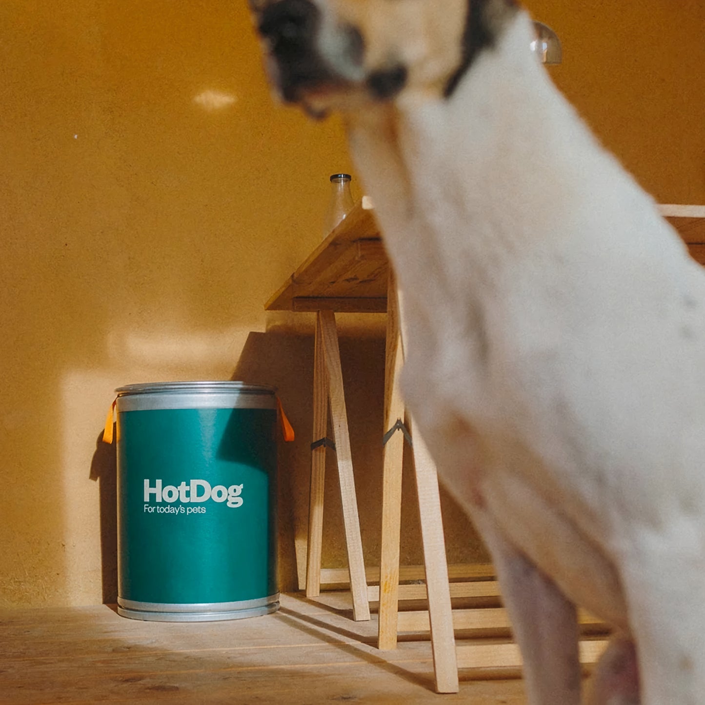 Food canister