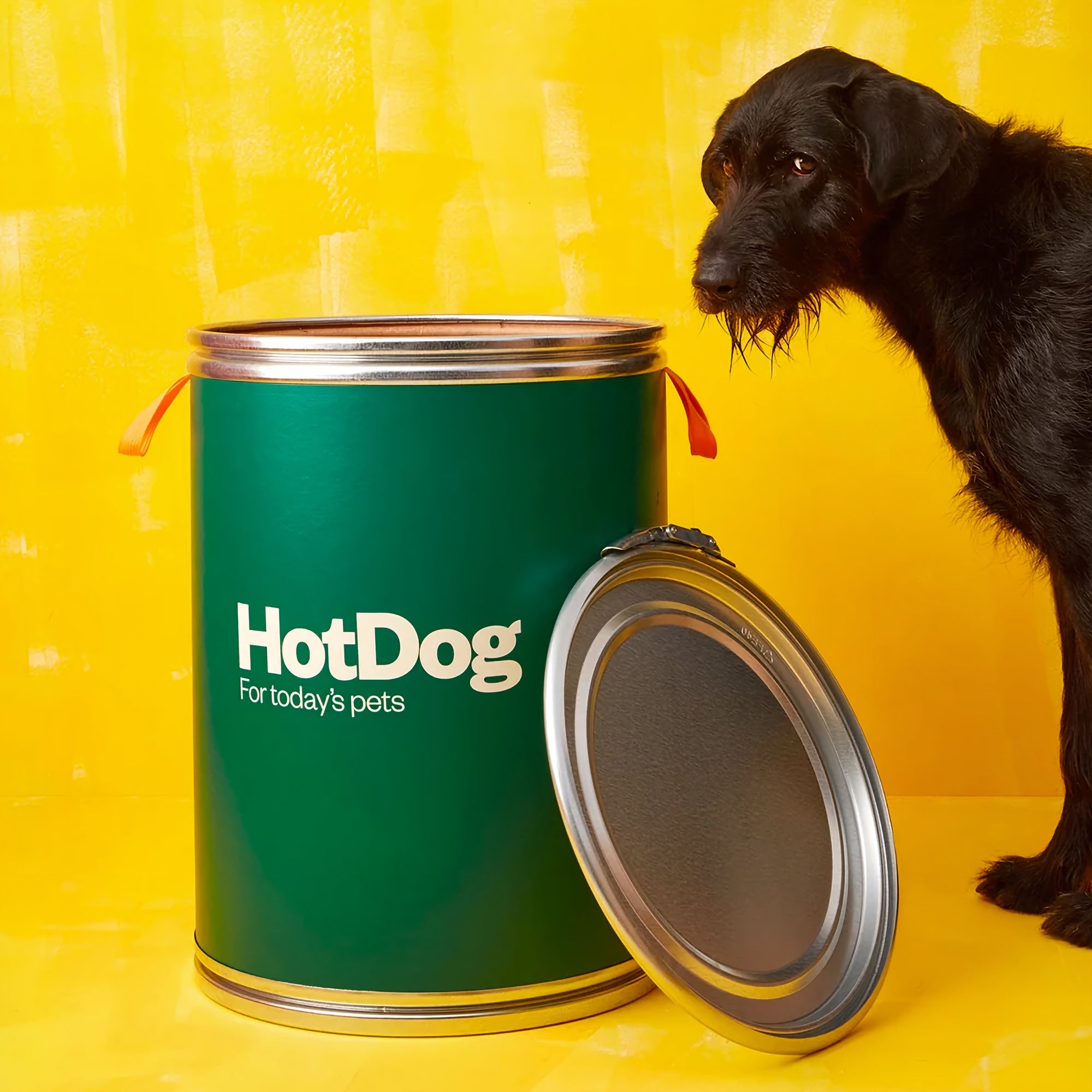 Food canister
