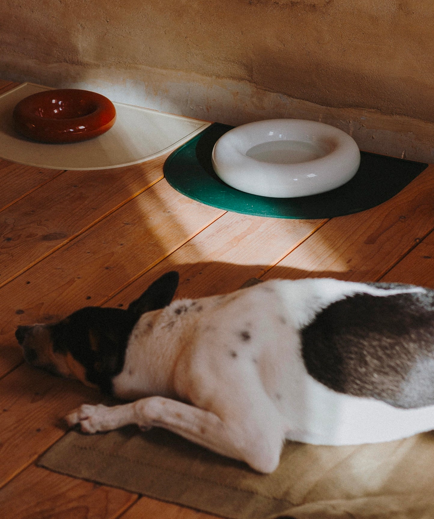 Ceramic Bowl