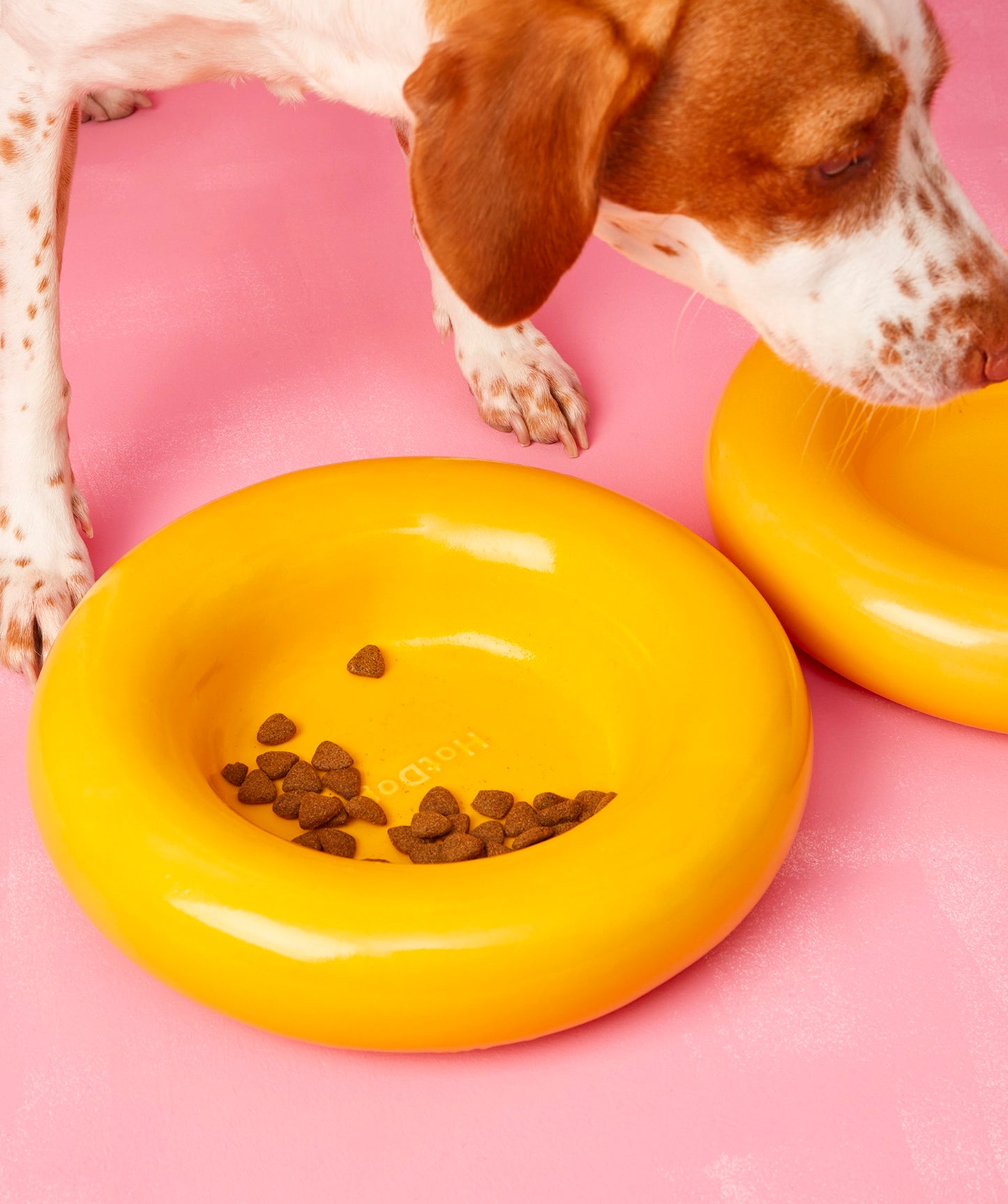 Ceramic Bowl