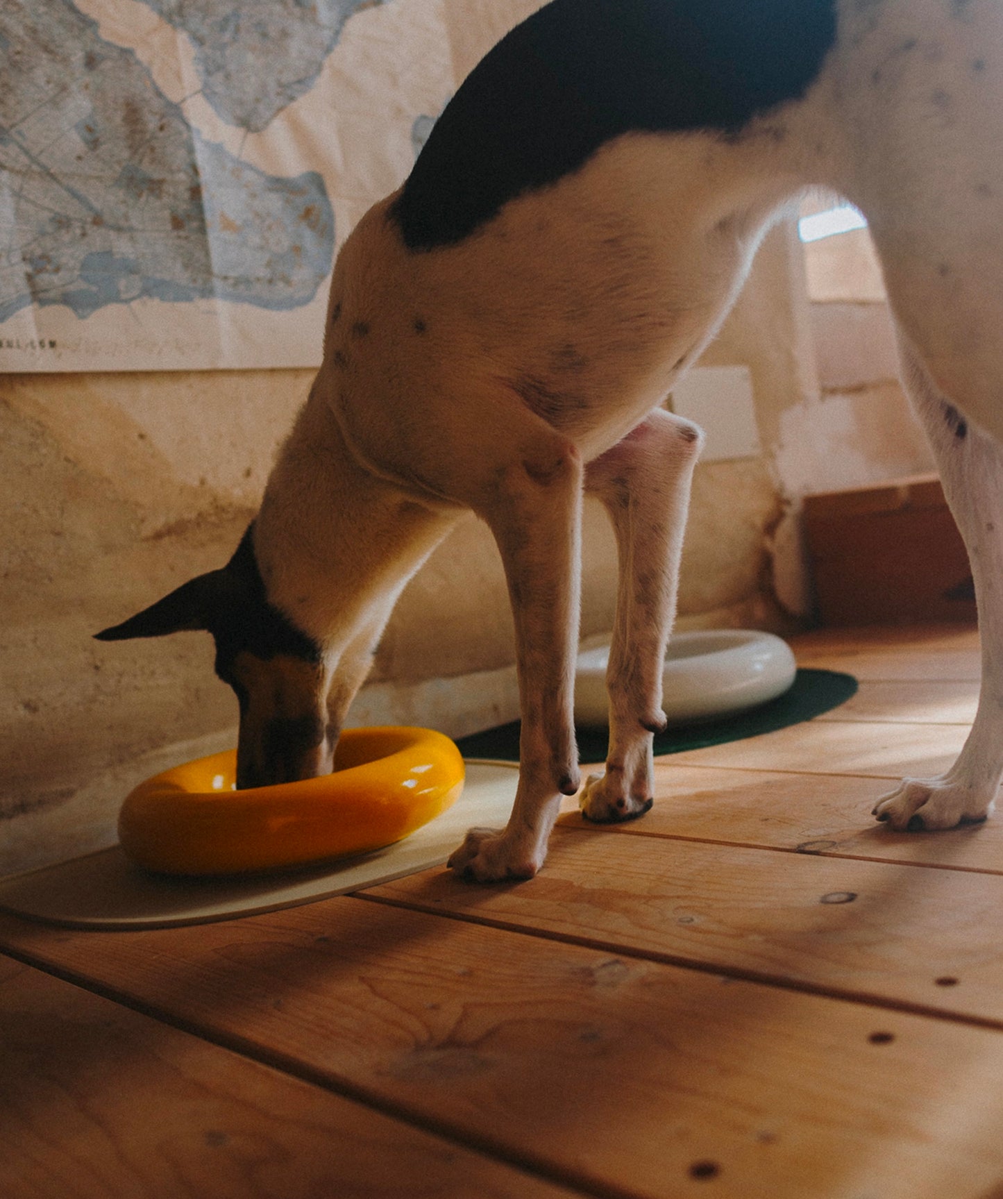 Ceramic Bowl