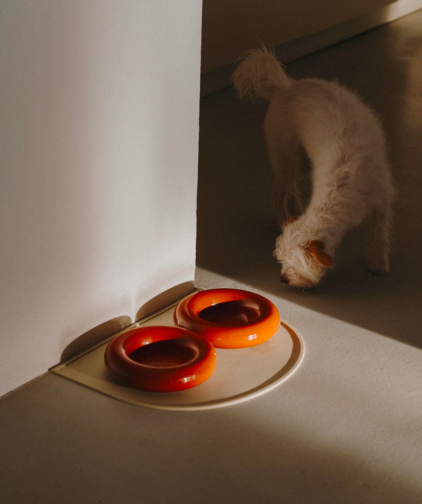 Ceramic Bowl