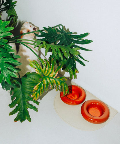 Ceramic Bowl