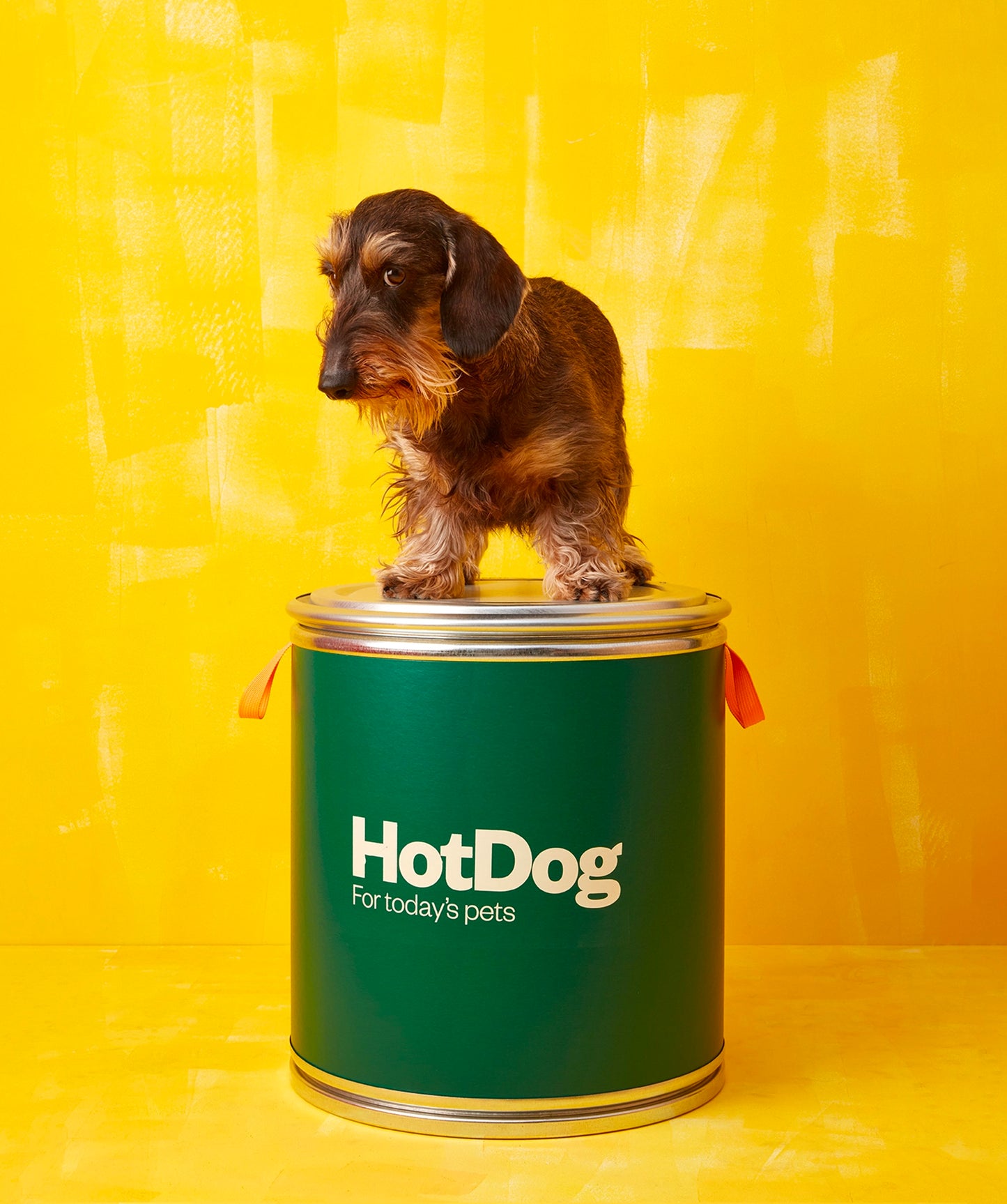 Food canister