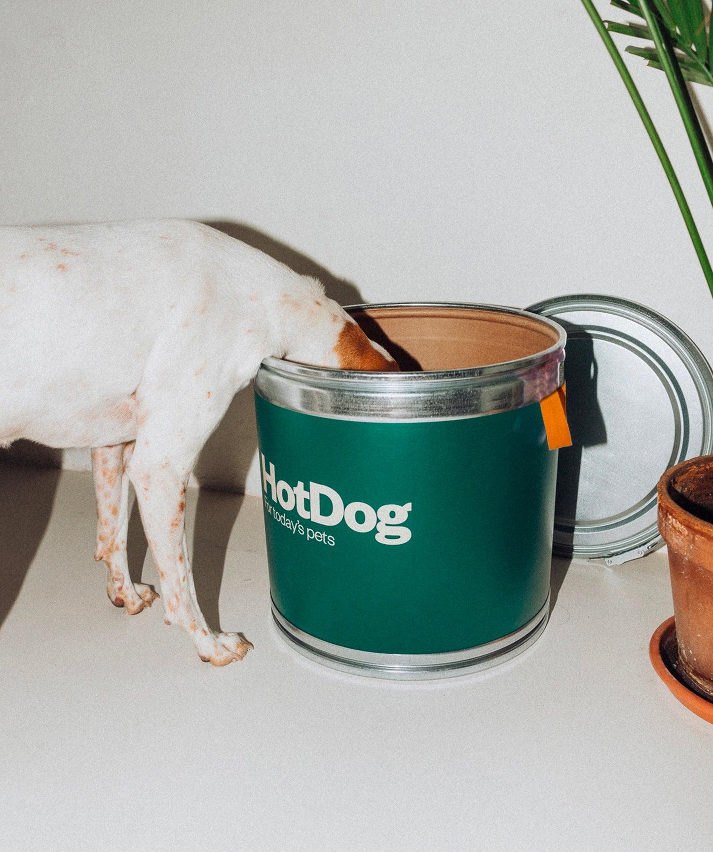 Food canister