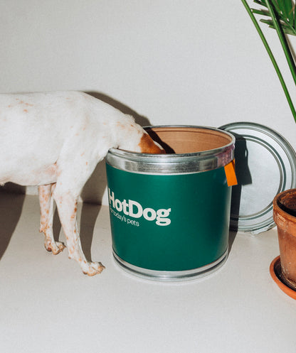 Food canister