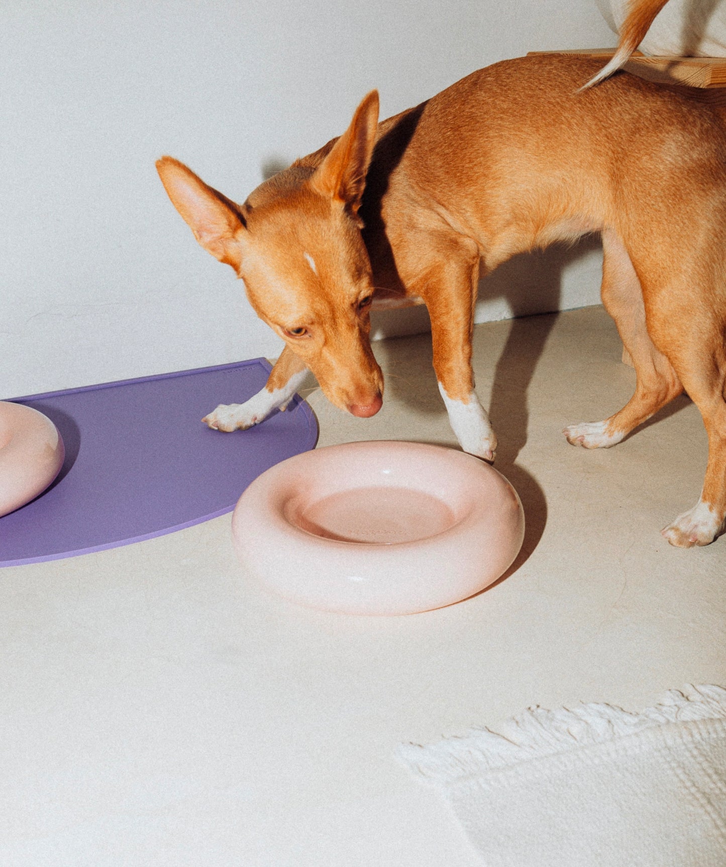 Ceramic Bowl