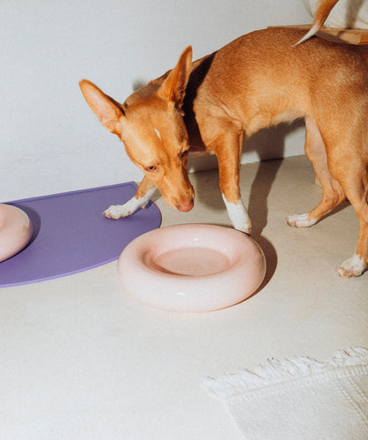 Ceramic Bowl