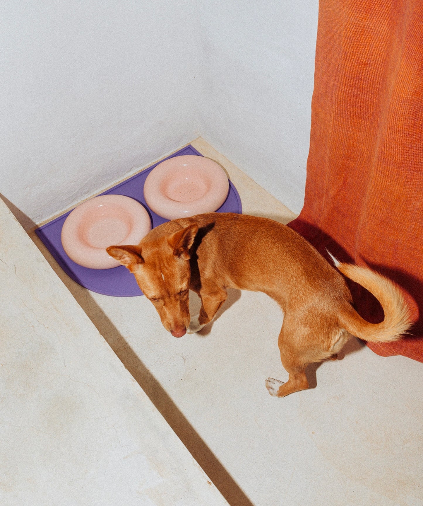 Ceramic Bowl