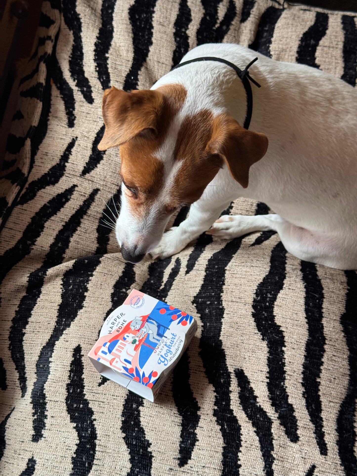Harper's yoghurt