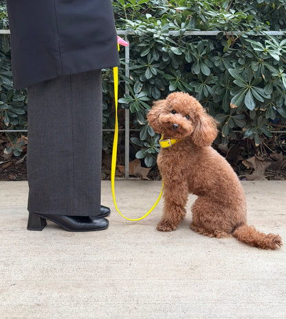 Smart Dog Leash - Jaune
