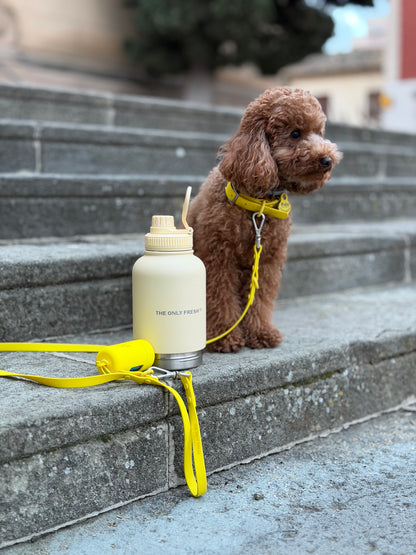 Portable water bottle