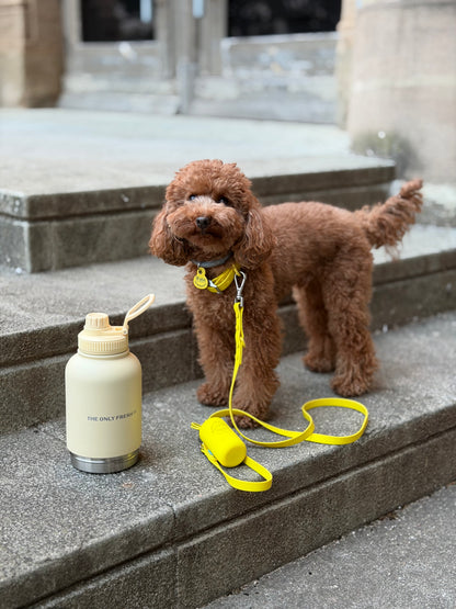 Smart Dog Leash - Jaune