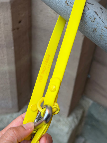 Smart Dog Leash - Jaune