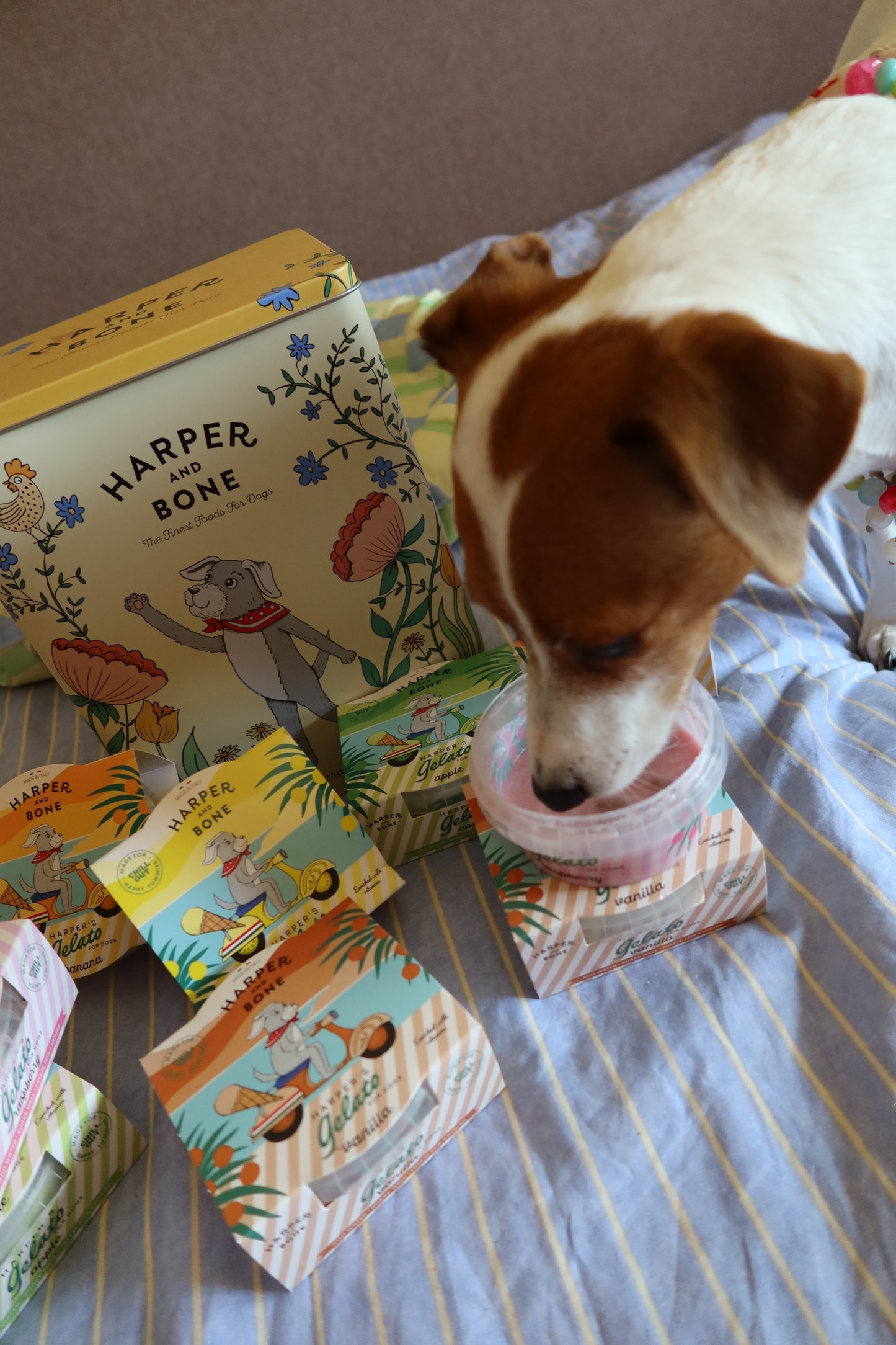 Harper's Gelato