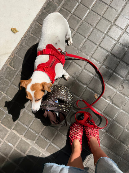 Smart Harness - Rosso