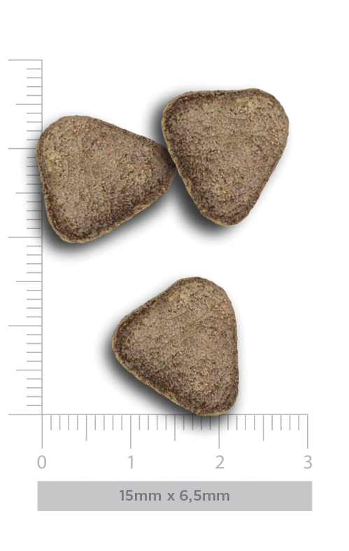 Adult exigent - Iberian pork