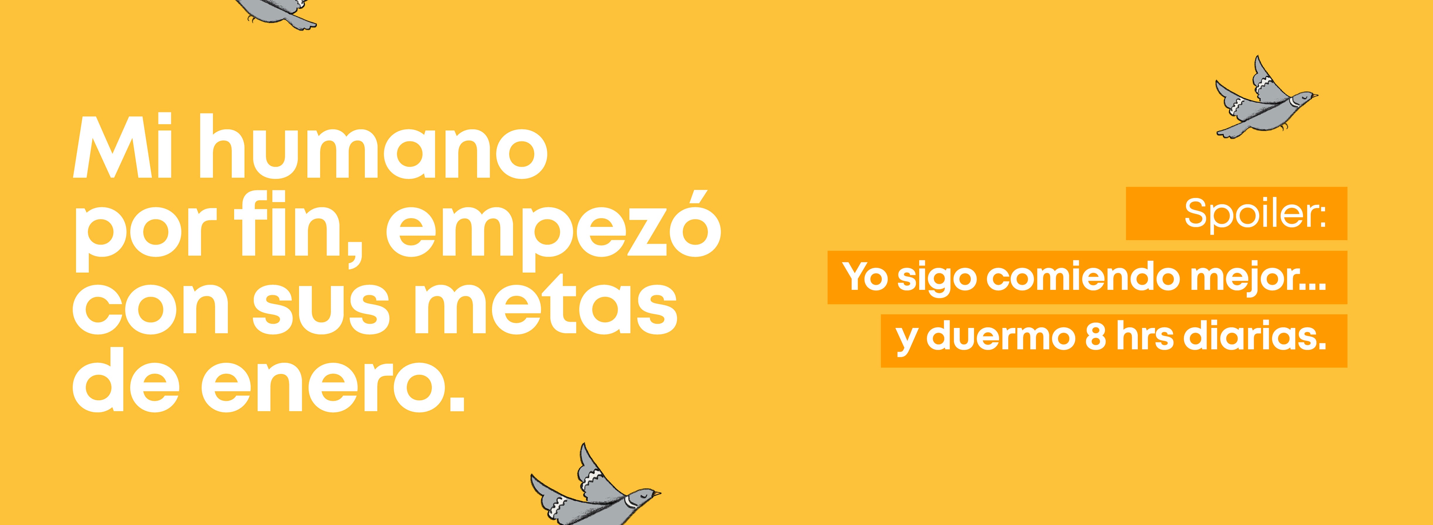 image-banner