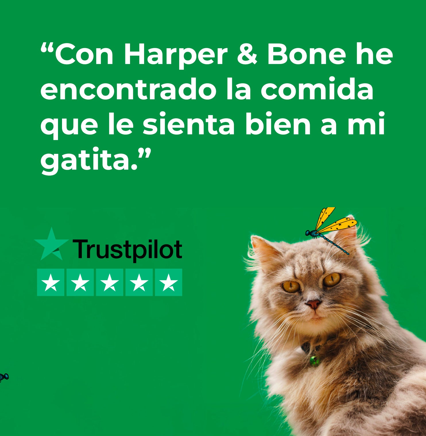 image-banner-mb