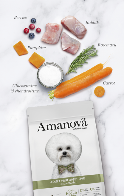 Adult mini digestive - Divine Rabbit
