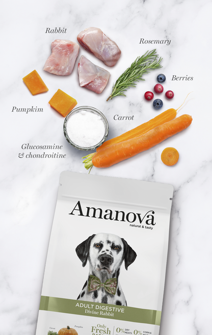 Adult digestive - Divine rabbit