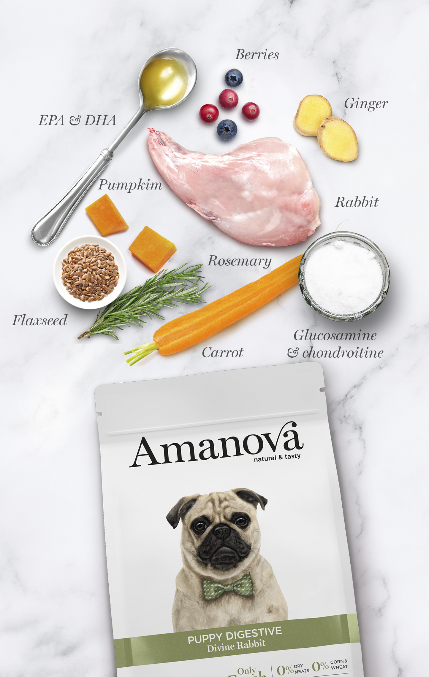   Puppy digestive - Divine Rabbit