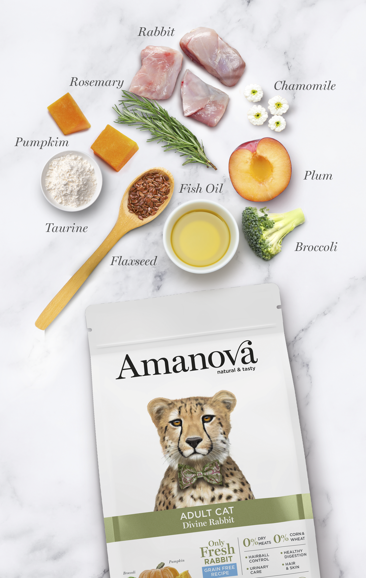 Adult Cat - Divine rabbit