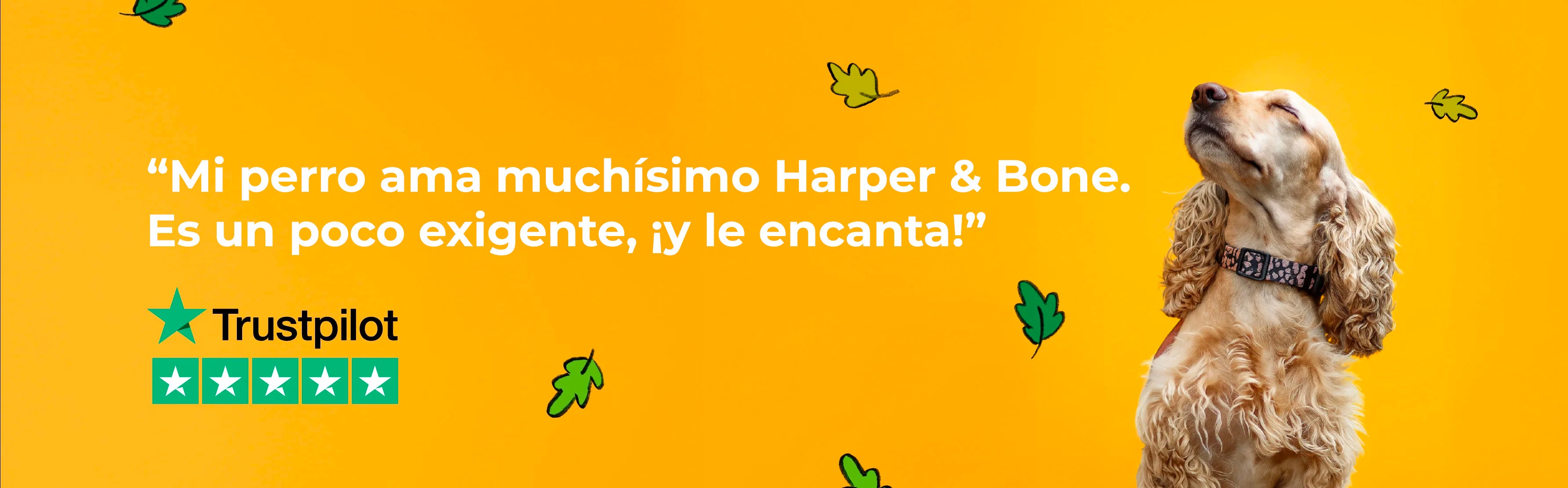 image-banner