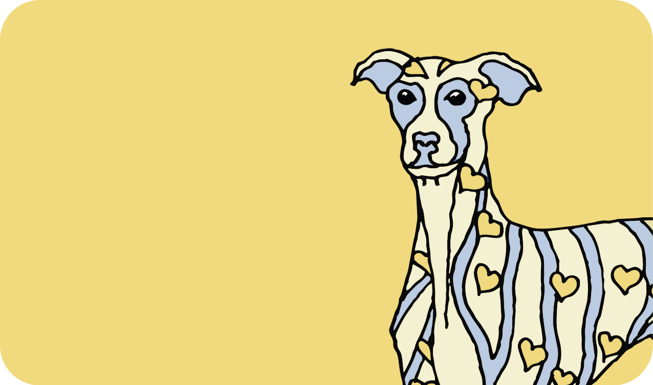 Accessorios y juguetes