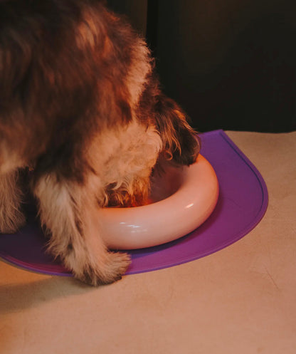 Ceramic Bowl