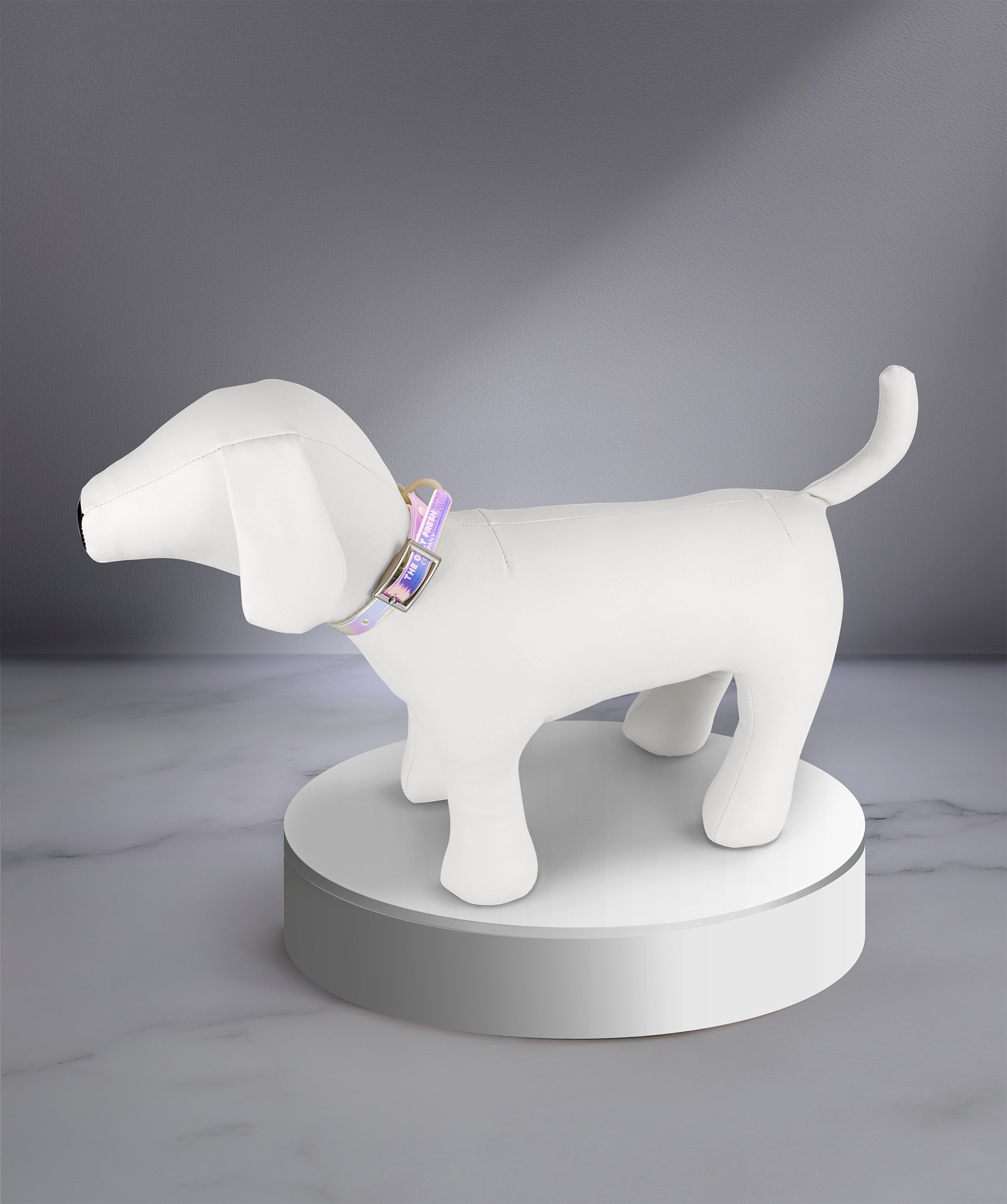 Smart Dog Collar