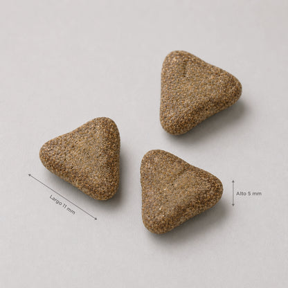 Adult mini exigent - Iberian pork